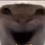 陈俊烨