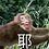 马骏昊